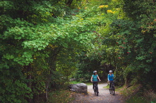 Bike tours and trails